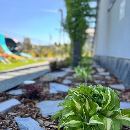 Na Polnych Domach Apartment Duszniki Zdroj